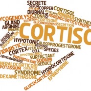 Cortisol Hormone Therapy