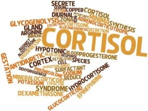 Cortisol
